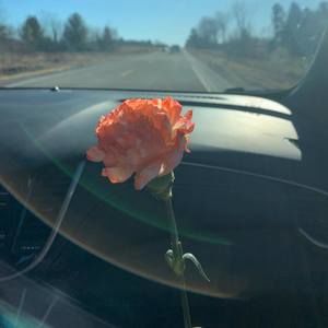 Meet your Posher, Anika